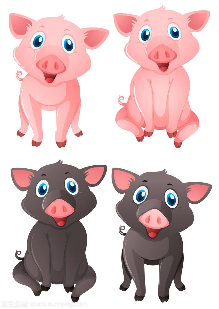 粉红色和黑色的猪
